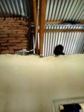 WhatsApp-Image-2022-01-04-at-104801-AM